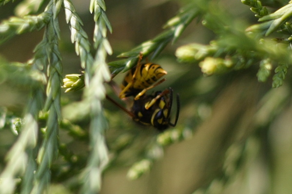 University botanic gardens