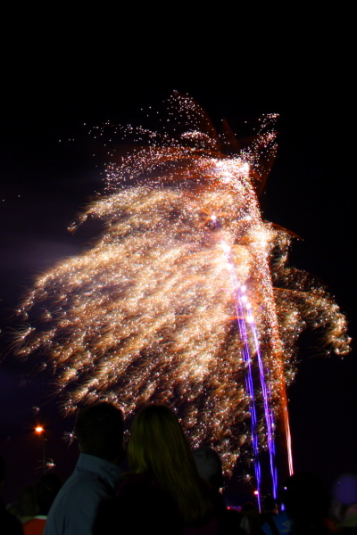 Fireworks night 2005