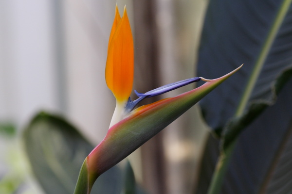 Botanic Gardens with Edith and Naath