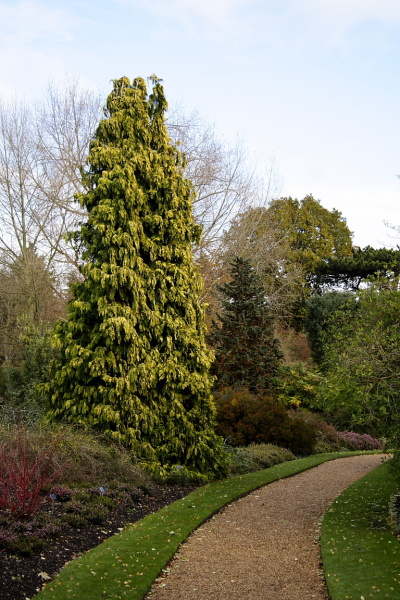 Botanic Gardens with Edith and Naath