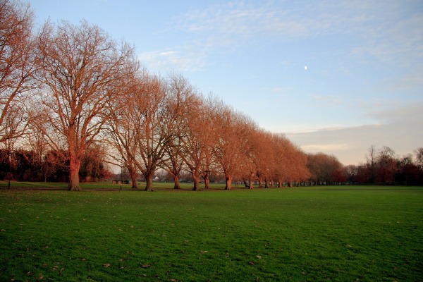 Near the Cam