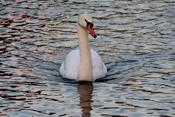 Near the Cam