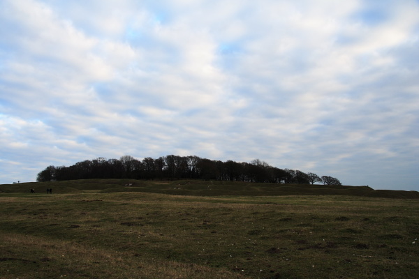 Badbury Rings