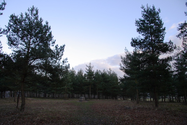 Badbury Rings