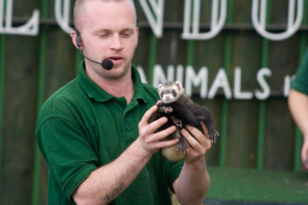 London Zoo