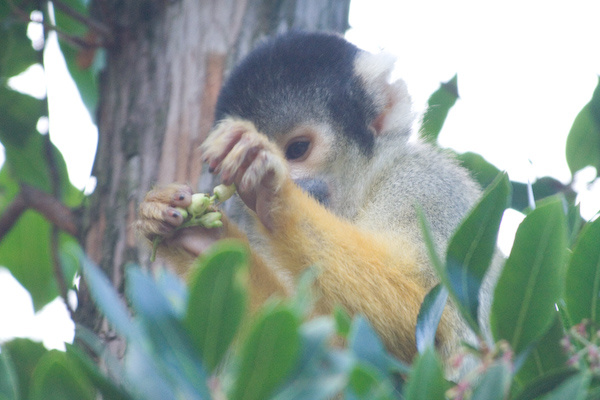 London Zoo