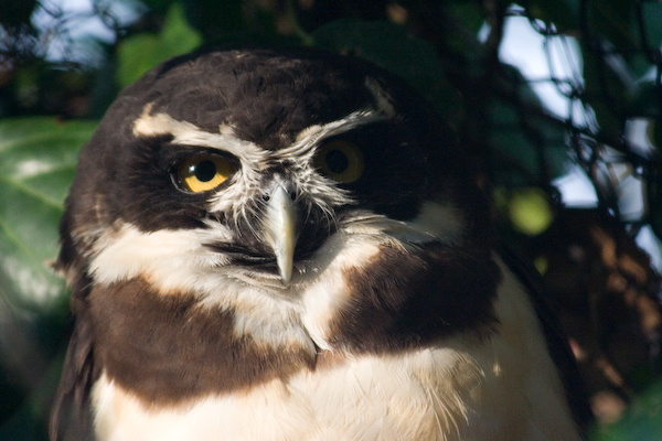 London Zoo