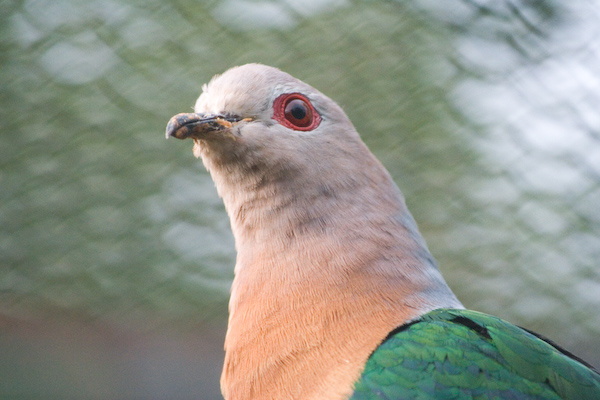 London Zoo