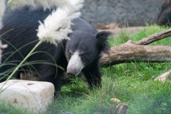 London Zoo