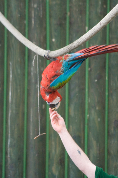 London Zoo