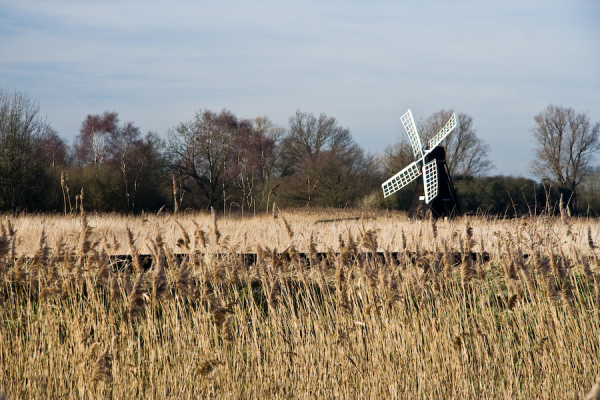 Party, plus Wicken Fen