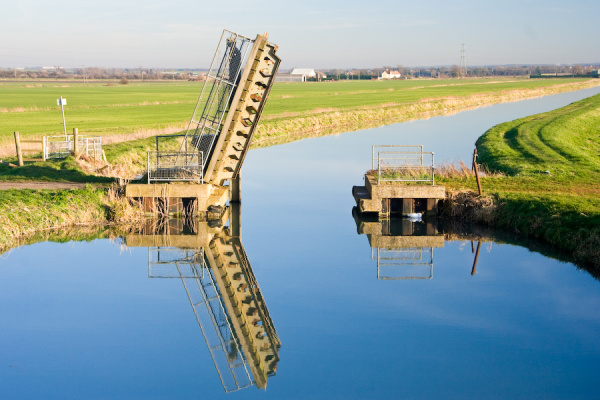 Party, plus Wicken Fen