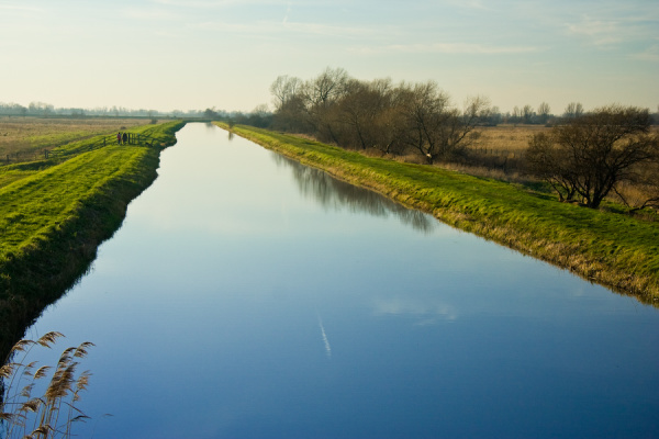 Party, plus Wicken Fen