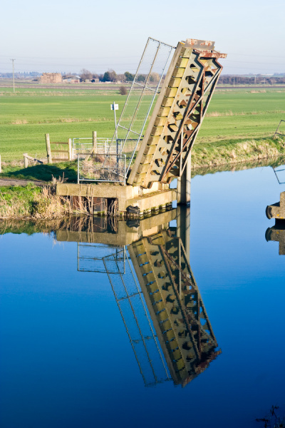 Party, plus Wicken Fen