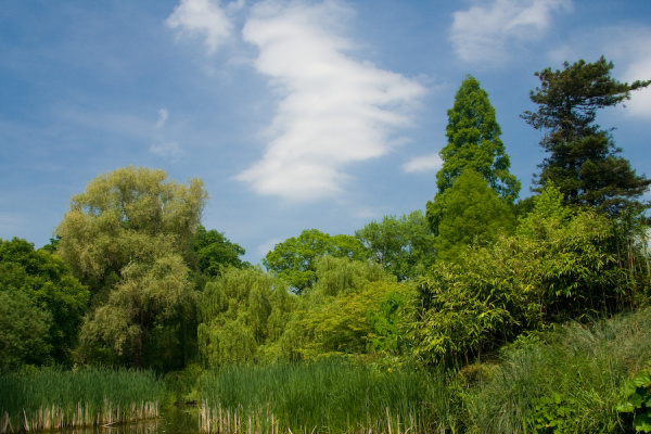 Cambridge Botanical Gardens