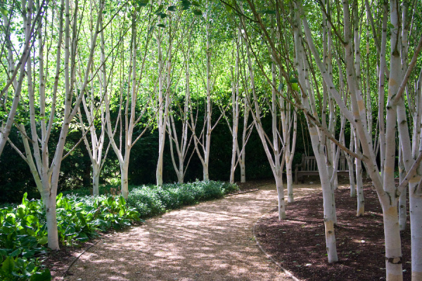 Anglesey Abbey Gardens