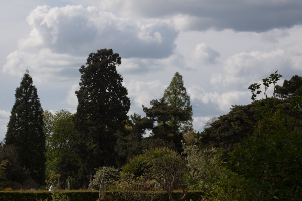 Cambridge University Botanic Garden