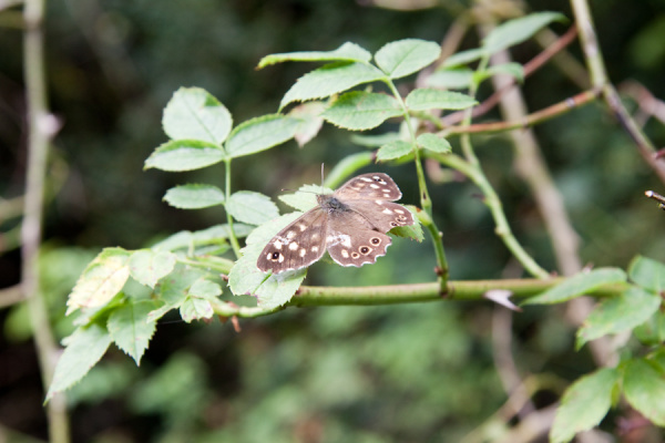 Milton Country Park