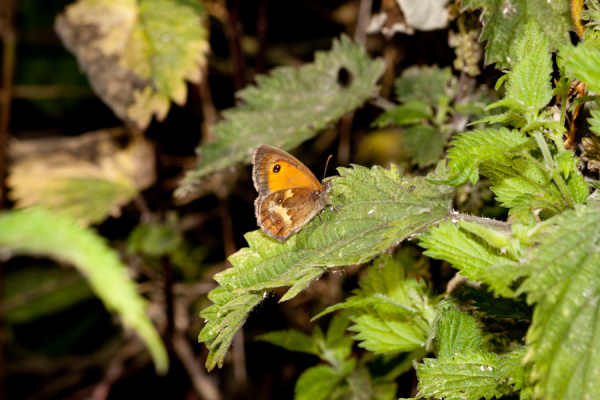 Milton Country Park