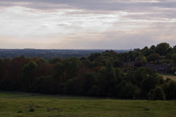 Wimpole Hall