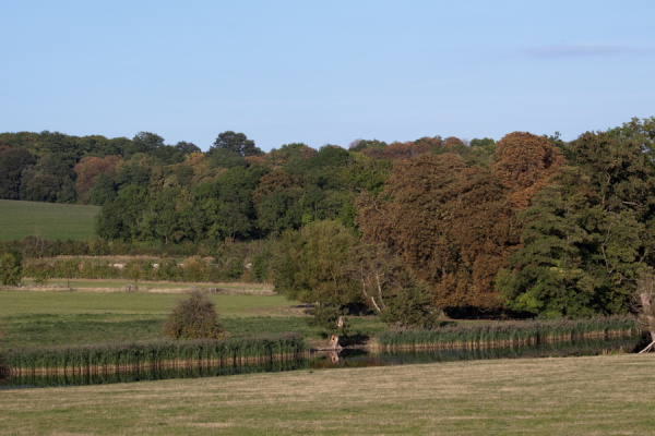 Wimpole Hall