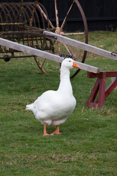 Wimpole Hall