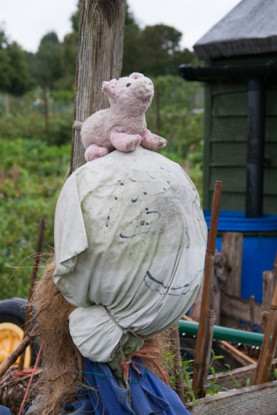 Allotment