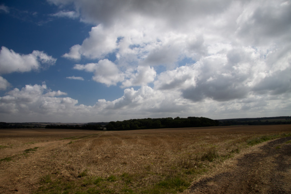 East Anglian walk