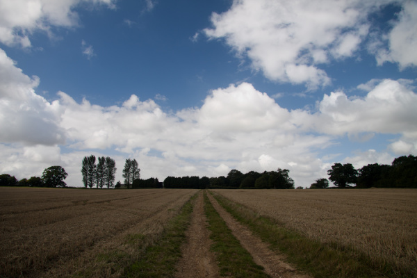 East Anglian walk