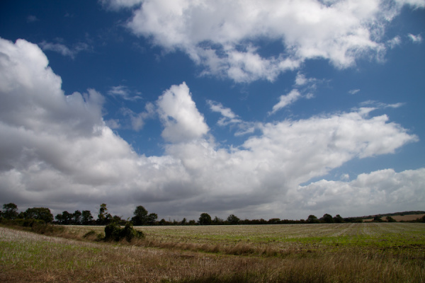 East Anglian walk