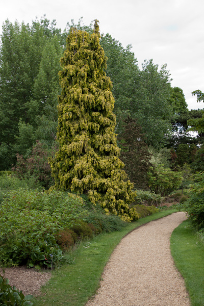 Cambridge Botanic Gardens