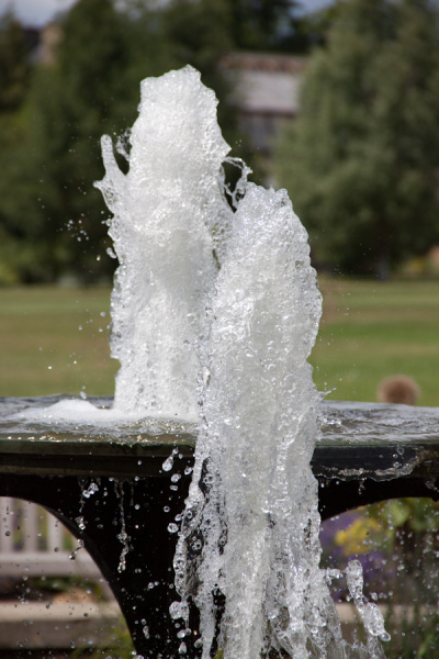 Cambridge Botanic Gardens